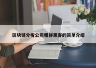 区块链分析公司朝鲜黑客的简单介绍